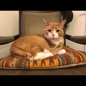 Meet your Posher, Emelia